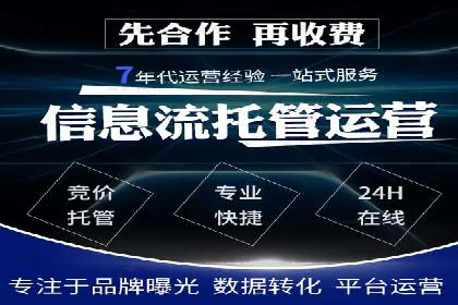 百度竞价代理的运营策略与成功案例分析